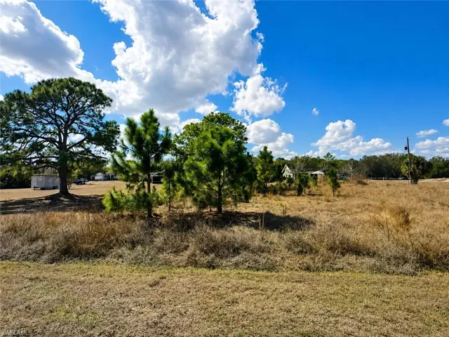 2184  Lincoln Park  AVE, Alva, FL 33920