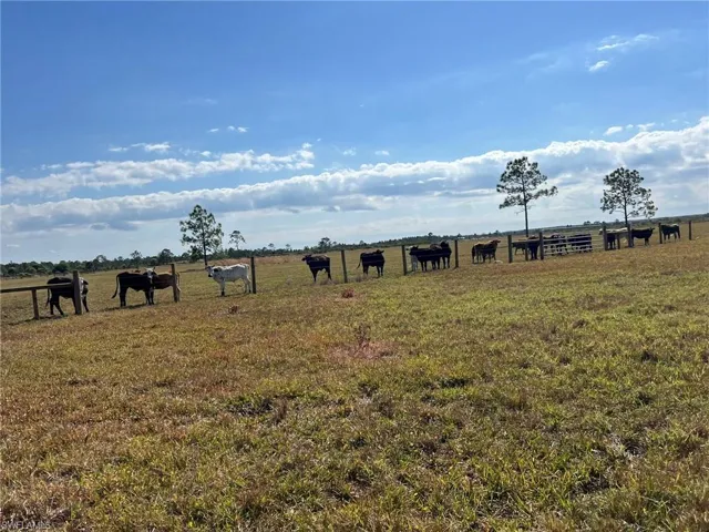 View of yard featuring a rural view