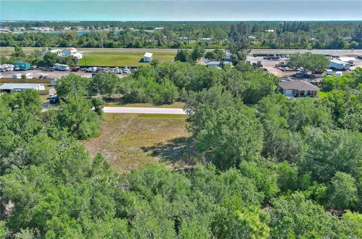 Aerial view of a forest