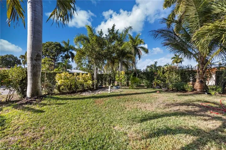 View of green lawn