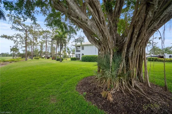 View of green lawn