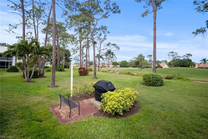 View of grassy yard