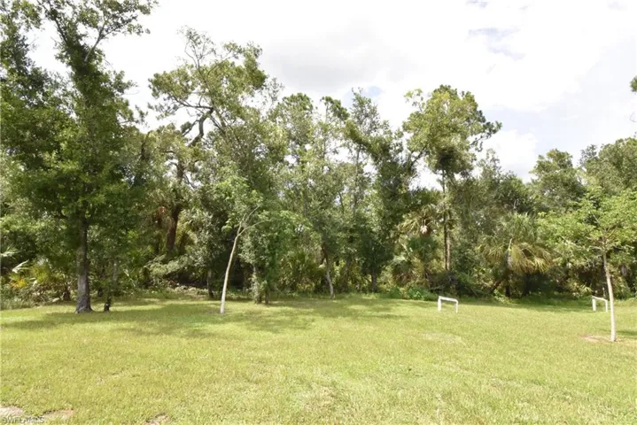 View of grassy yard