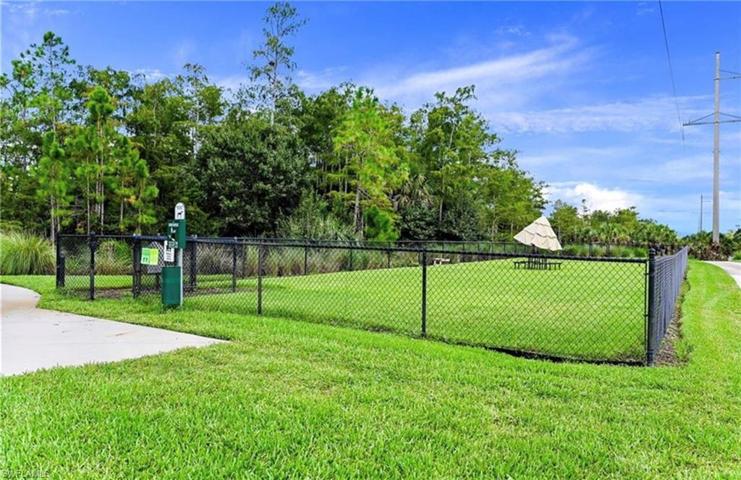 Community Dog Park