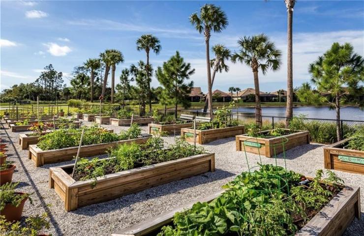 Community Gardens