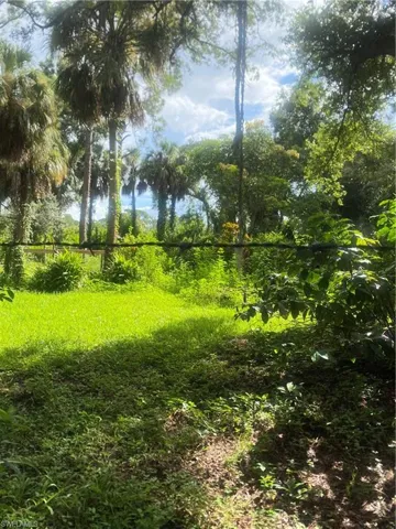 View of local wilderness