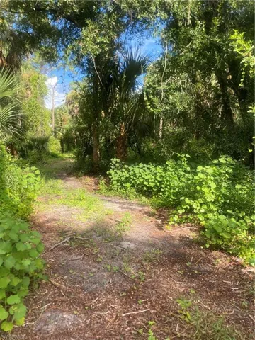 View of nature