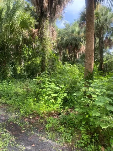 View of landscape
