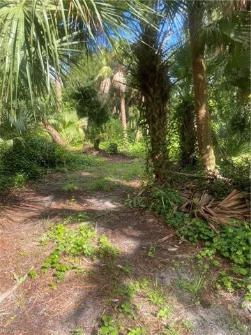 View of nature
