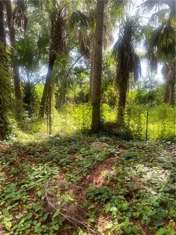 View of nature