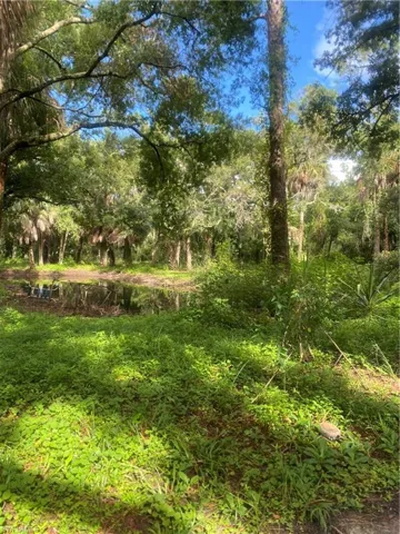 View of nature