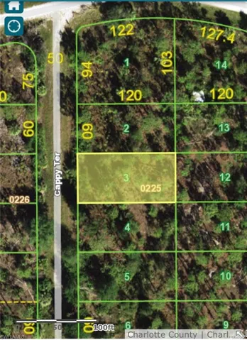 13340 Cappy Ter, Punta Gorda, Florida 33955