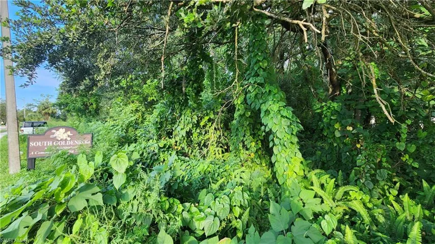 View of nature