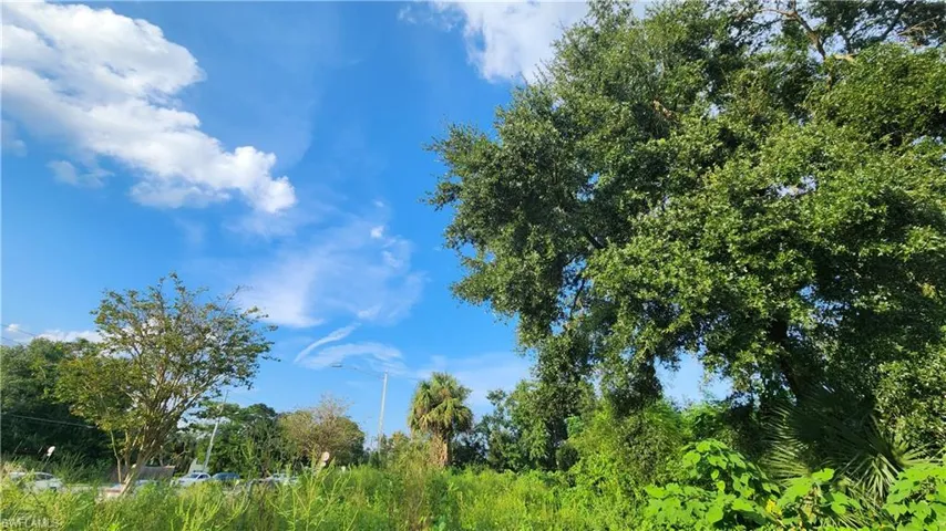 View of local wilderness