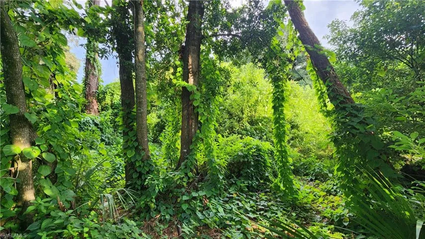 View of landscape