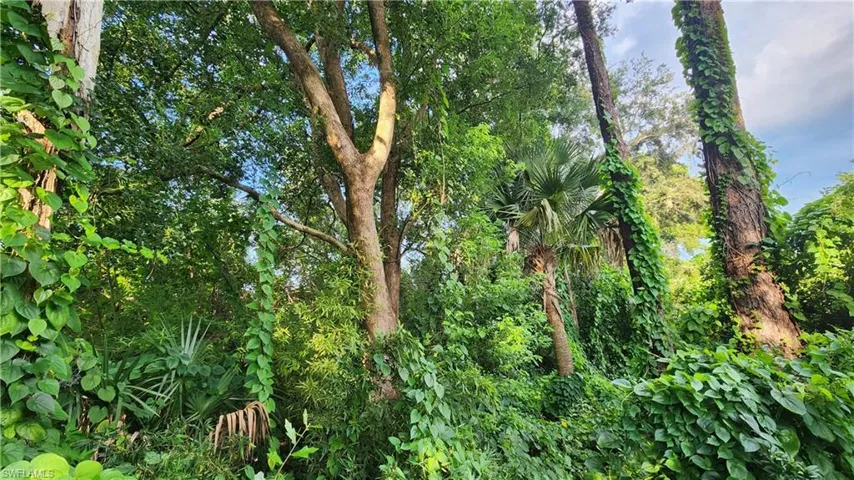 View of nature