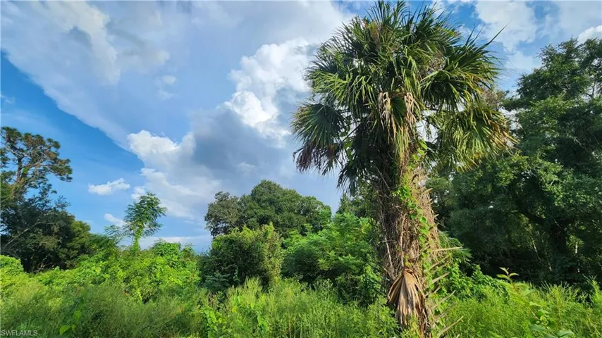 View of nature