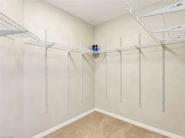 Spacious closet with carpet
