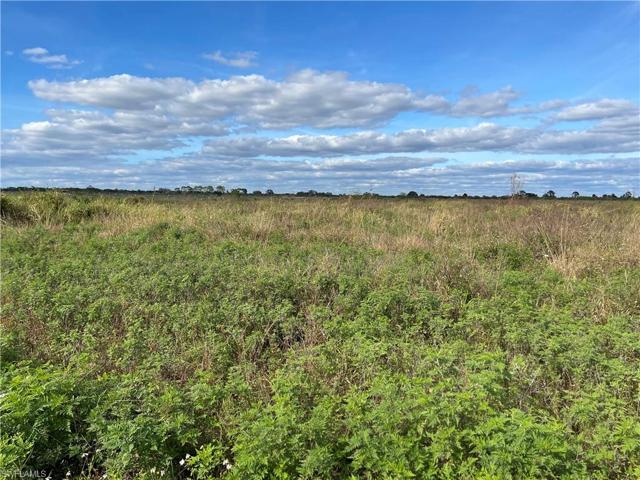 6940 6th  RD, Labelle, FL 33935