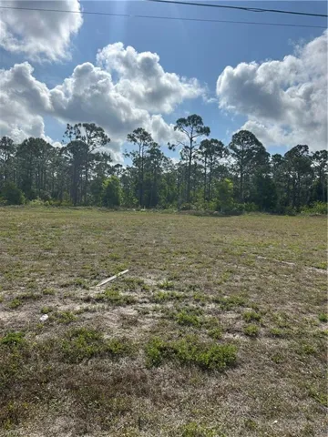 View of local wilderness