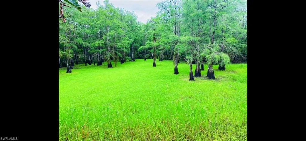 Eco-Preserve in Green!!