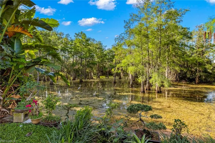 14806  Sterling Oaks  DR, Naples, FL 34110