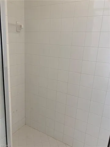 Bathroom view of a tile shower