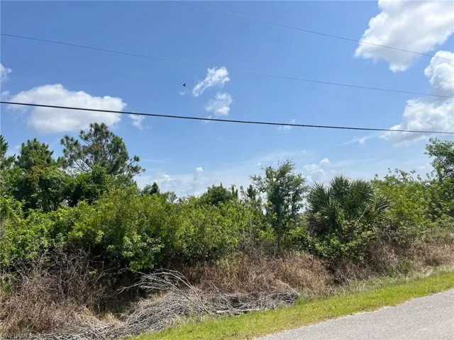 60th Ave Ne, Naples Fl 34120
