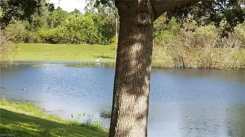 View of water feature