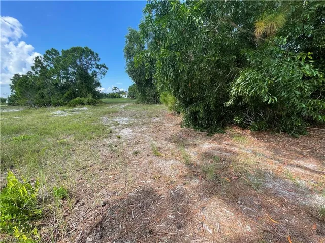 View from Back of Lot