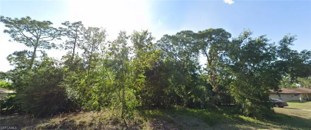 View of local wilderness