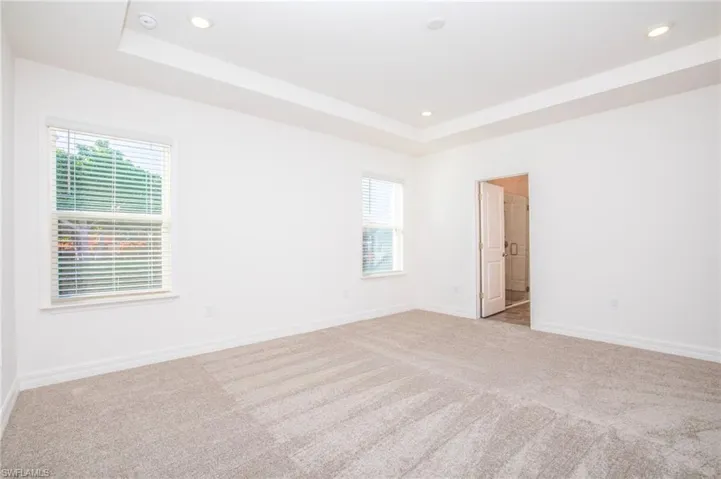 Spare room with carpet floors, a raised ceiling, and recessed lighting