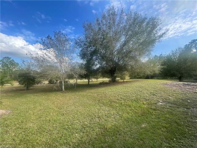 5 acres of land!