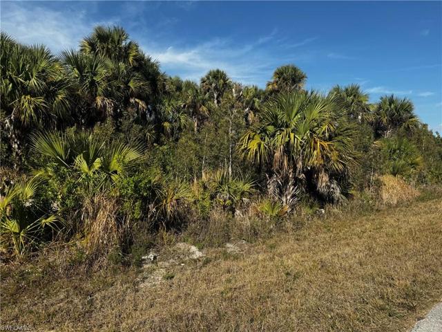 2814  24th W ST, LEHIGH ACRES, FL 33971