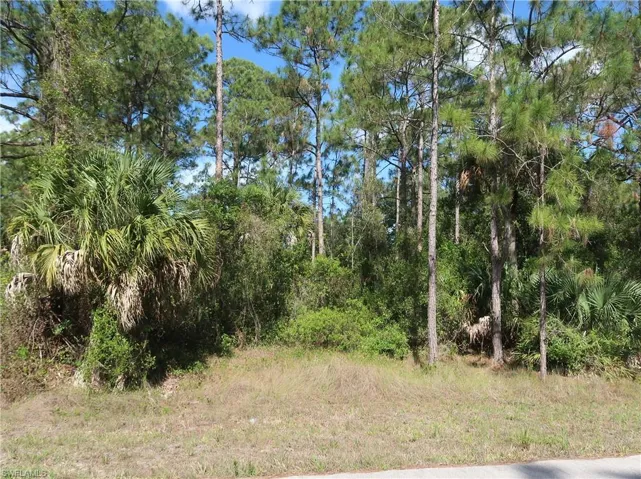 1667 Lake Ave, Lehigh Acres, Florida 33972