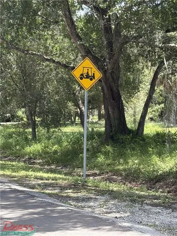 golf-cart friendly community