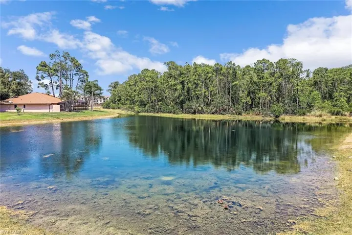 18989  Cypress View  DR, Fort Myers, FL 33967