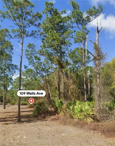 109 Wells Ave, Lehigh Acres, Florida 33936