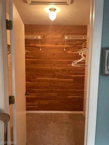 Spacious closet with dark carpet