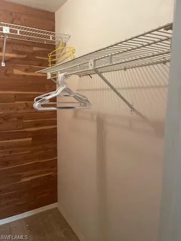 Spacious closet featuring carpet floors