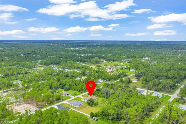 Bird's eye view of a forest