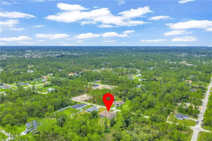 Bird's eye view of a forest