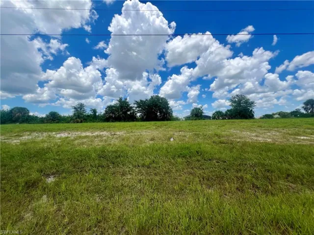 View of local wilderness featuring a rural view