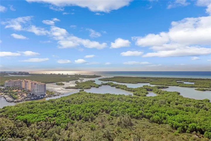 Aerial view of a forest and a large body of water