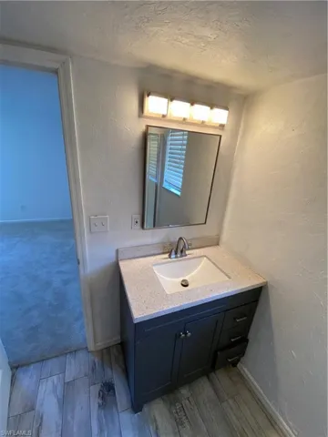 Bathroom featuring vanity and hardwood / wood-style flooring