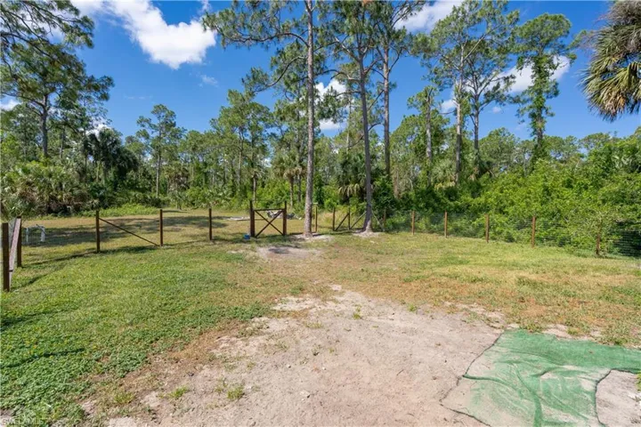 Fenced backyard area
