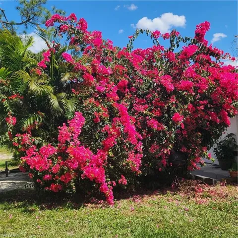 2860  18th NE AVE, Naples, FL 34120