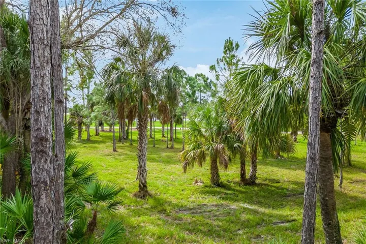9097  Cherry Oaks  TRL, Naples, FL 34114