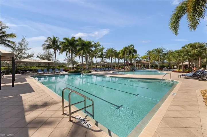 Laps, anyone?