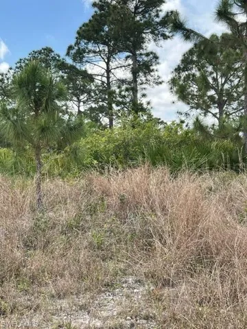402 Genoa AVE S, LEHIGH ACRES FL 33974